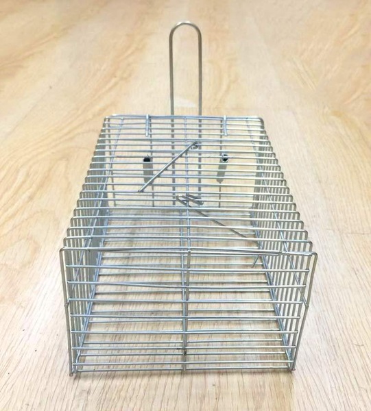 Image 3