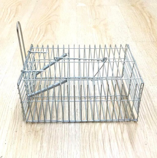 Image 4