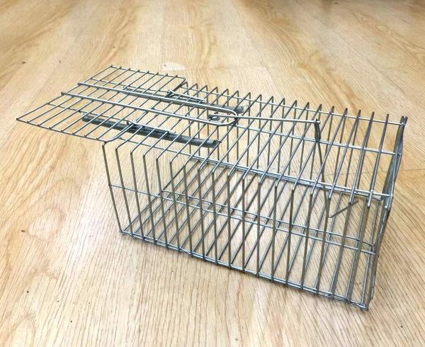 Image 6