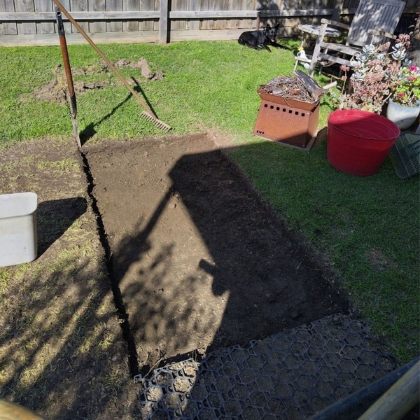 Image 6