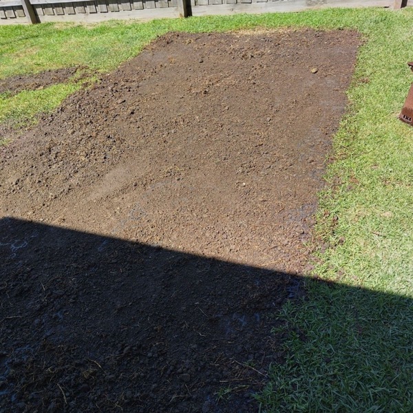 Image 13