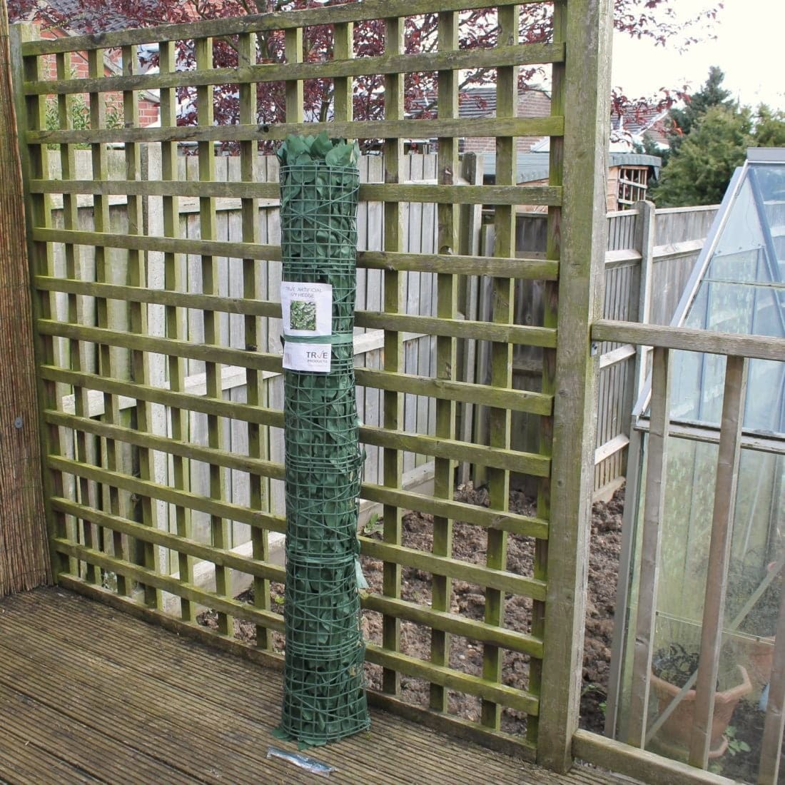 Image 5