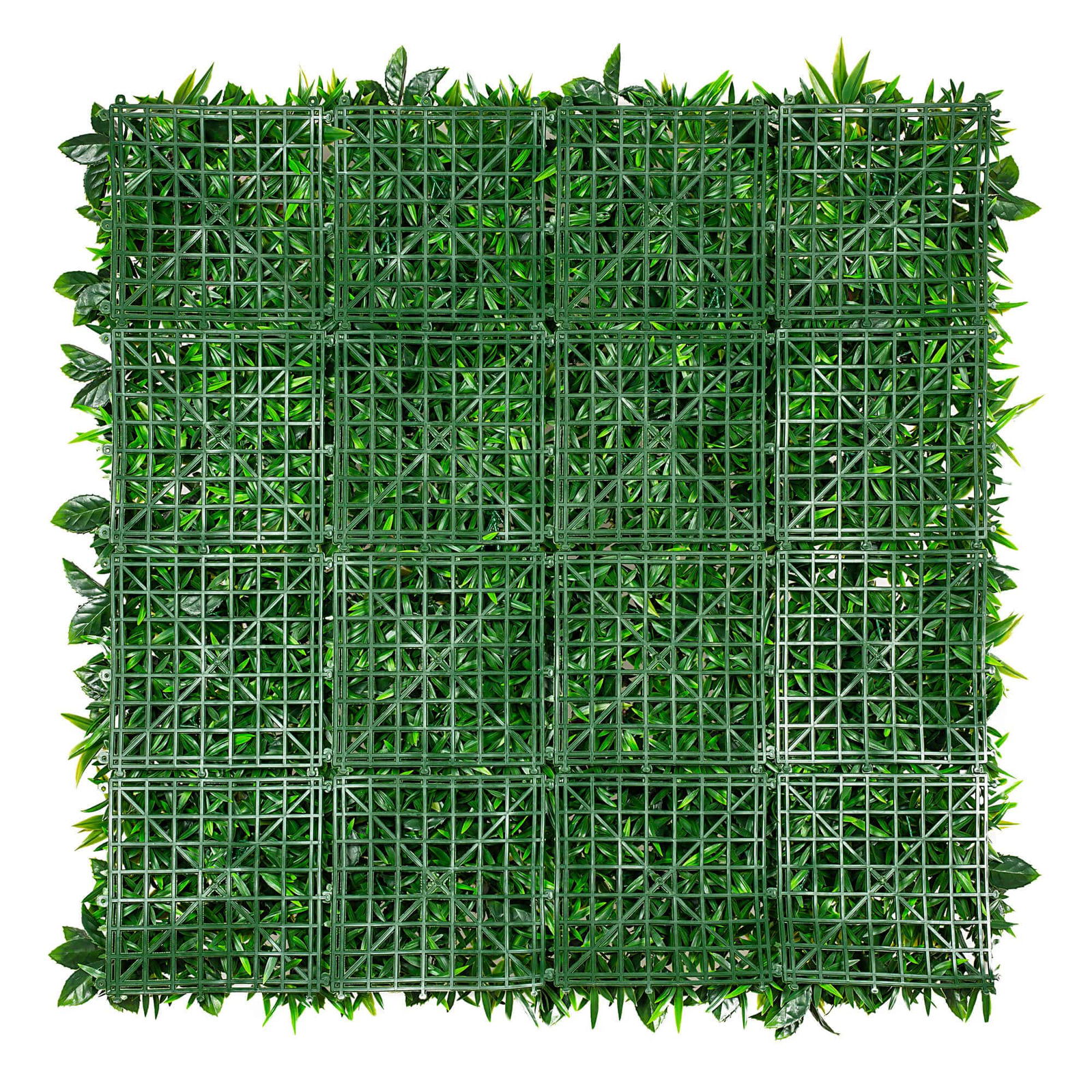 Image 4