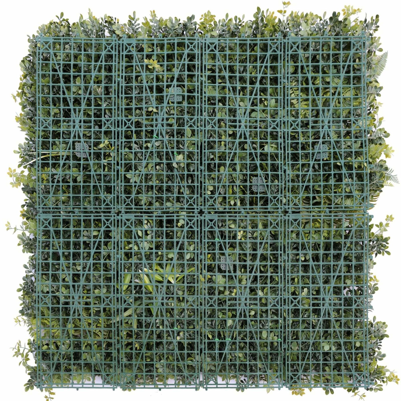 Image 4