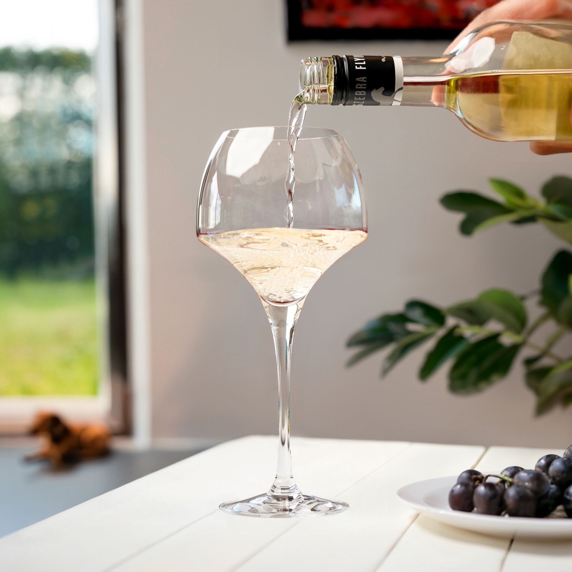 Chef & Sommelier Open Up Wine Glasses 370ml - Set of 6