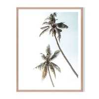 2 Palms Framed Printed Wall Art - Timber