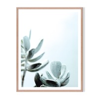 Cool Nature Framed Printed Wall Art - Timber