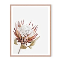 Isolated Framed Printed Wall Art - Timber