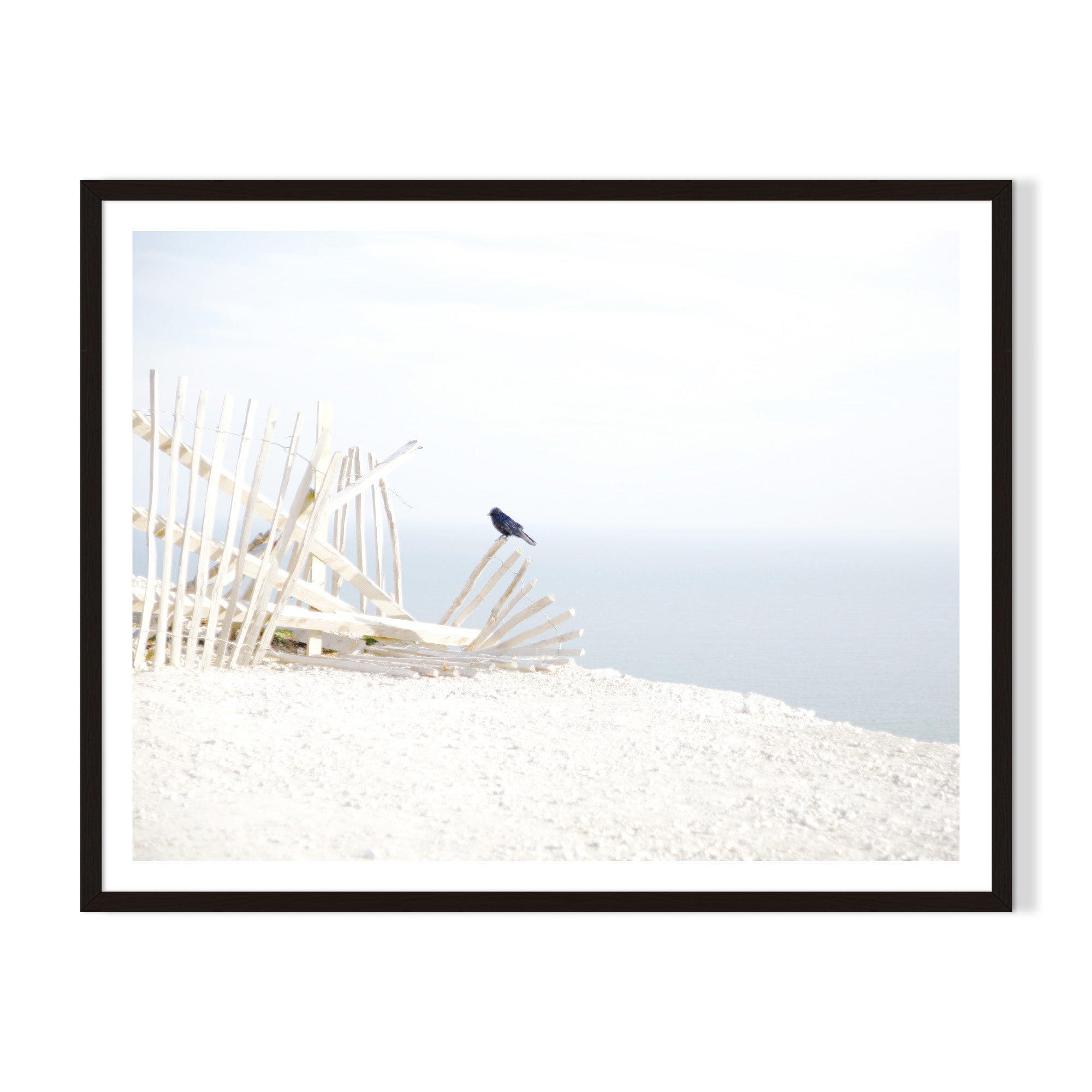 Perched Framed Printed Wall Art - Black