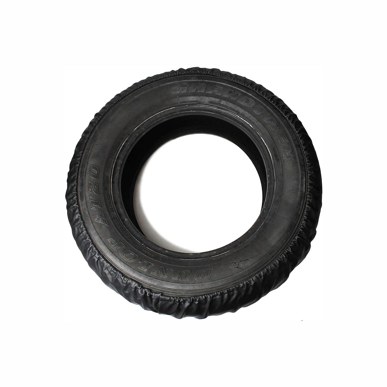 Image 5