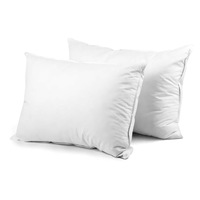 Goose Feather Down Bed White Pillow - Set of 2