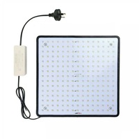 Home Gardening Green House LED Hydroponics