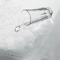 Long Single/Double/Queen/King Waterproof Mattress Protector