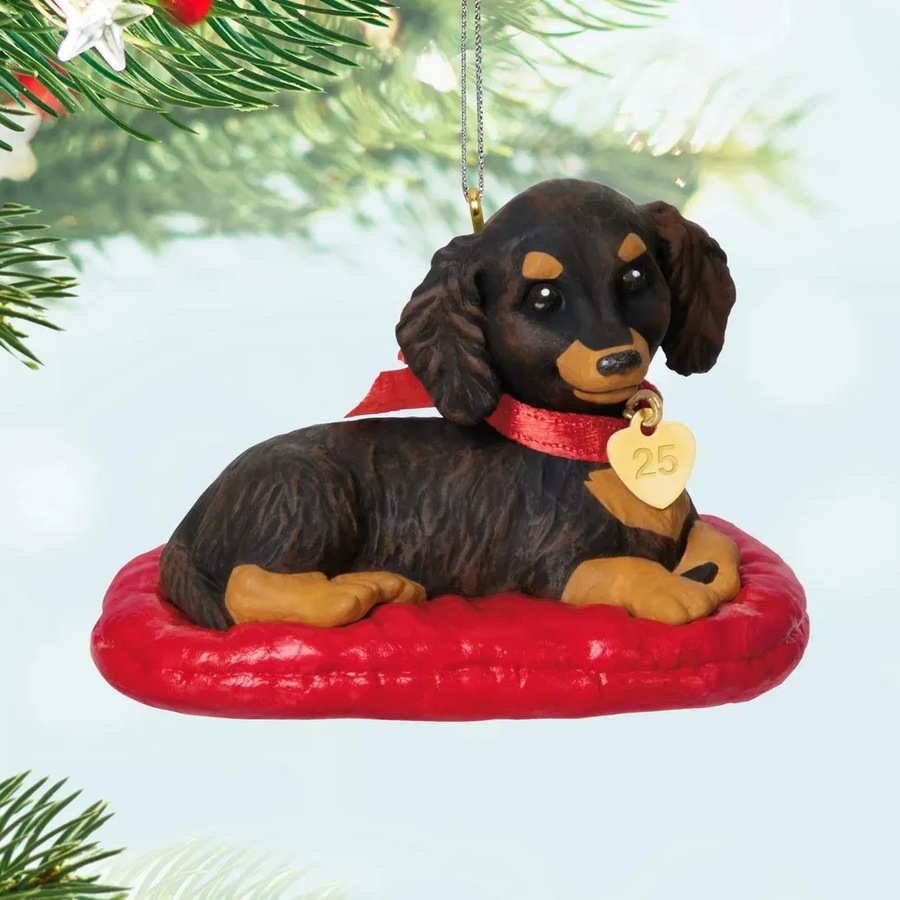 2025 Hallmark Keepsake Ornament - Long-Haired Dachshund (35th in Puppy Love Series)