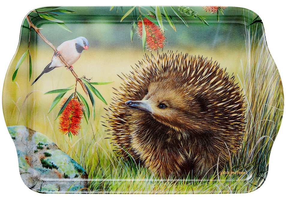 Ashdene Fauna of Australia - Echidna & Finch Scatter Tray
