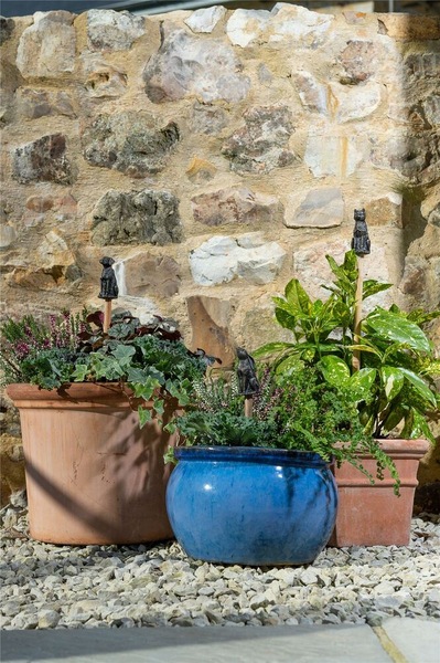 Image 9