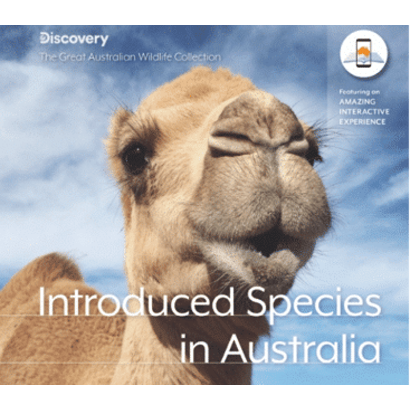 Buy The Great Australian Wildlife Collection : Introduced Species in