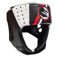 Morgan V2 Classic Open Face Head Guard