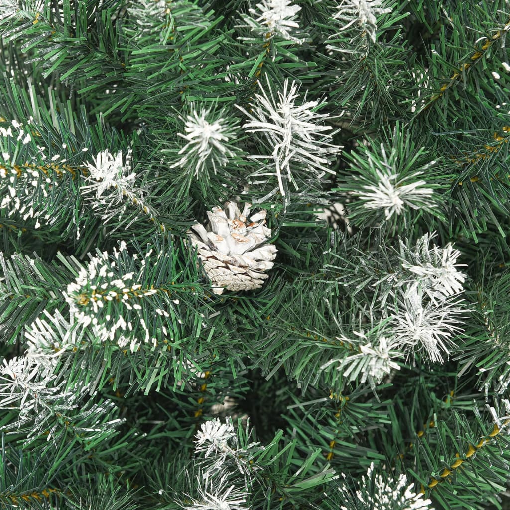 Image 6