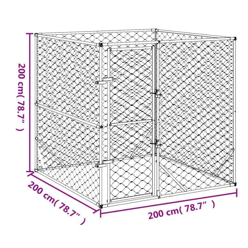 Image 6