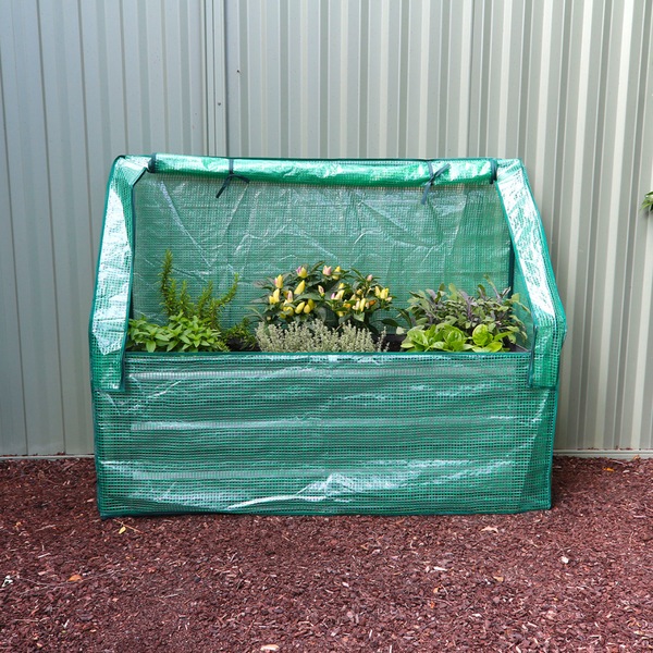 Image 7