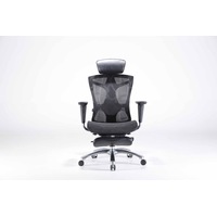 Sihoo V1 Ergonomic Office Chair