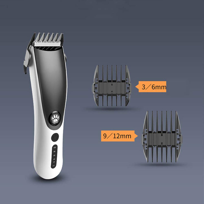 Image 7