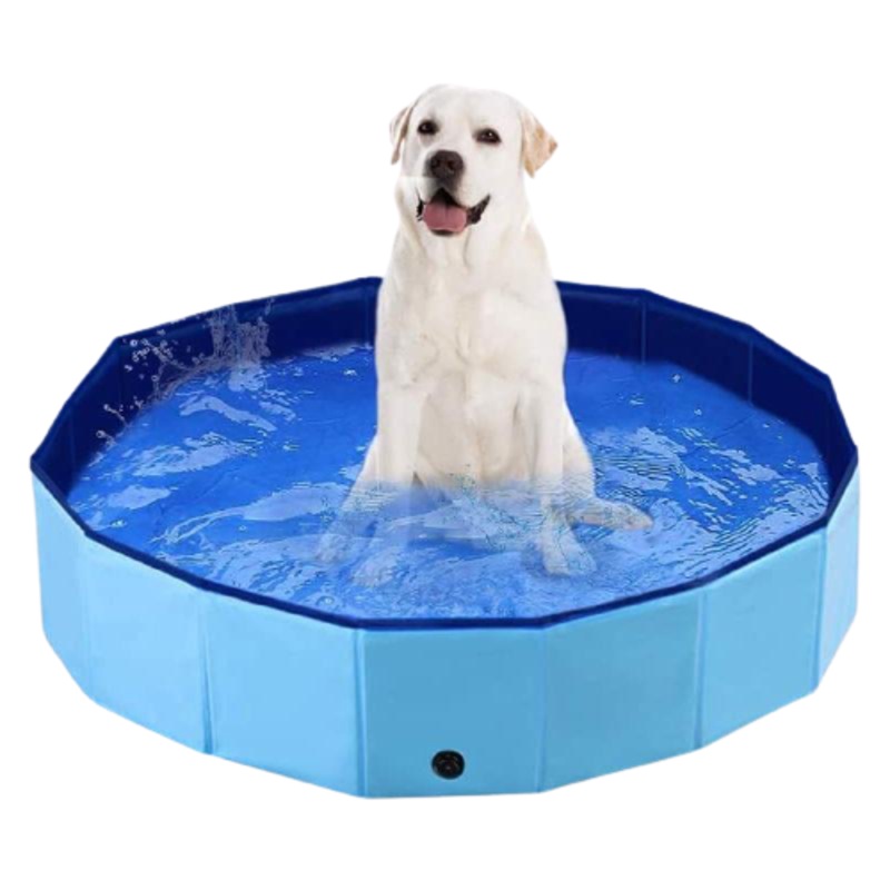 Buy Outdoor Dog Swimming Pool MyDeal