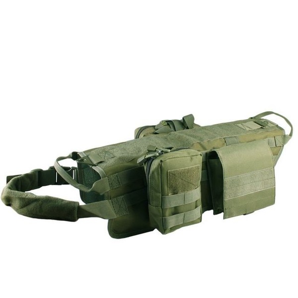 Image 4