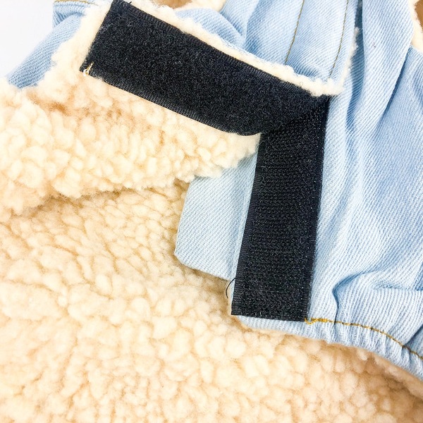 Image 6