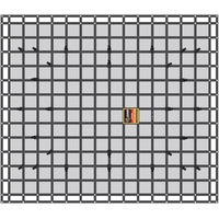 Safeguard Large Cargo Net (LSN-200)