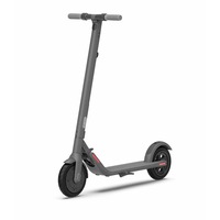 Segway Ninebot Kickscooter E22 - Electric Scooter
