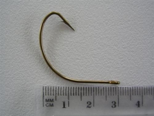 Image 15