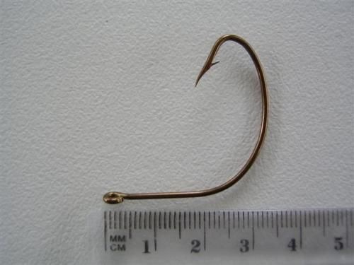 Image 21