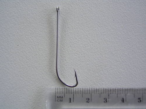 Image 12