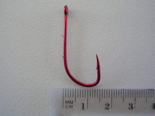 Image 10