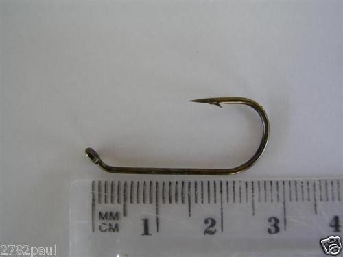 Image 21