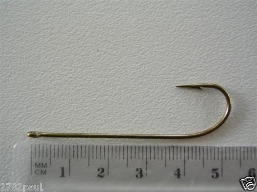 Image 23