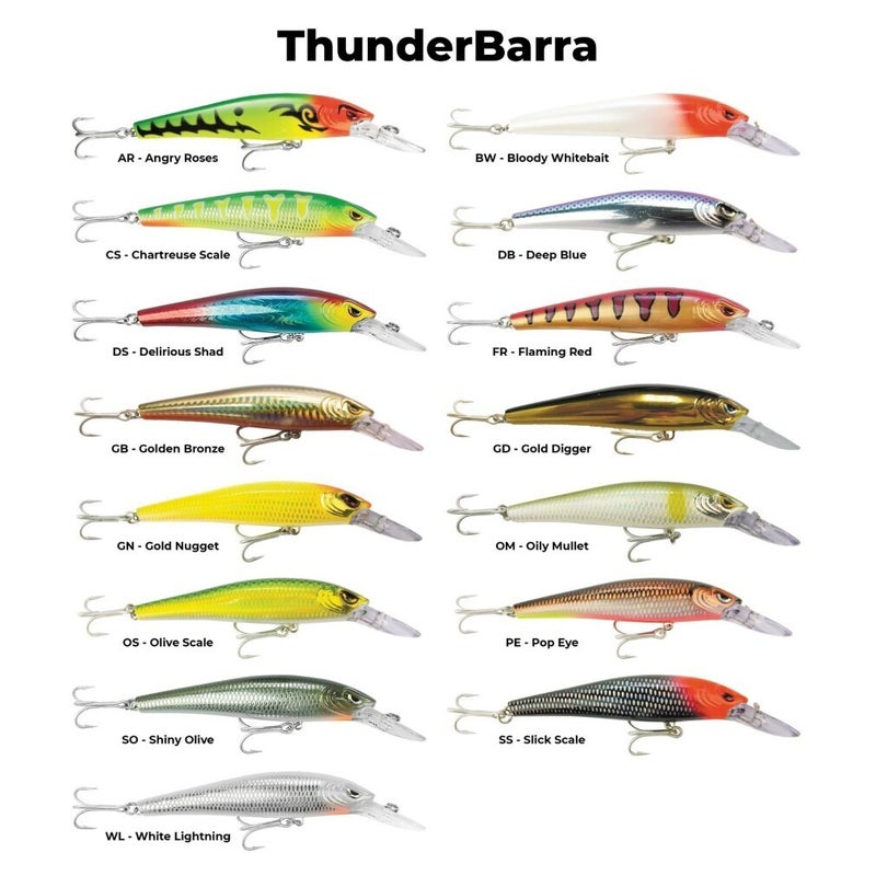 Buy 11cm Storm Thunder Barra Hard Body Lure - Medium Depth Diving Barramundi  Lure - MyDeal