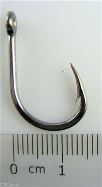 Image 12