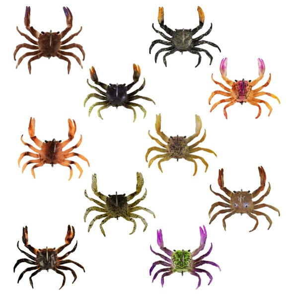 Image 21