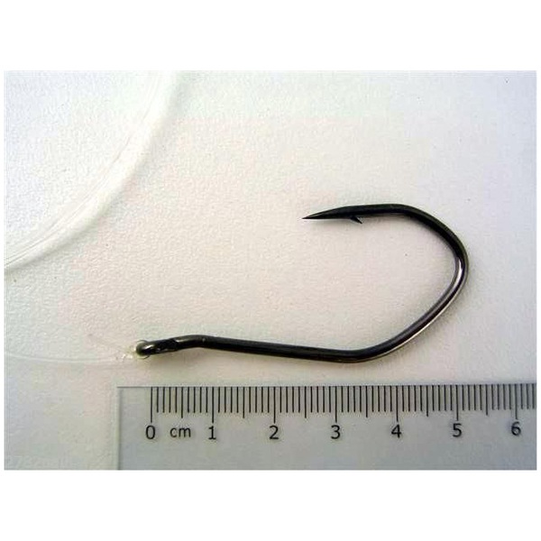 Image 9