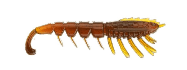 Image 6