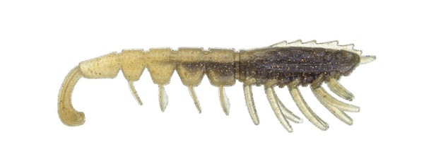 Image 8