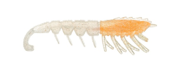 Image 9