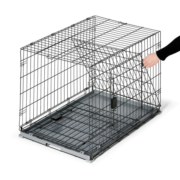 Image 4