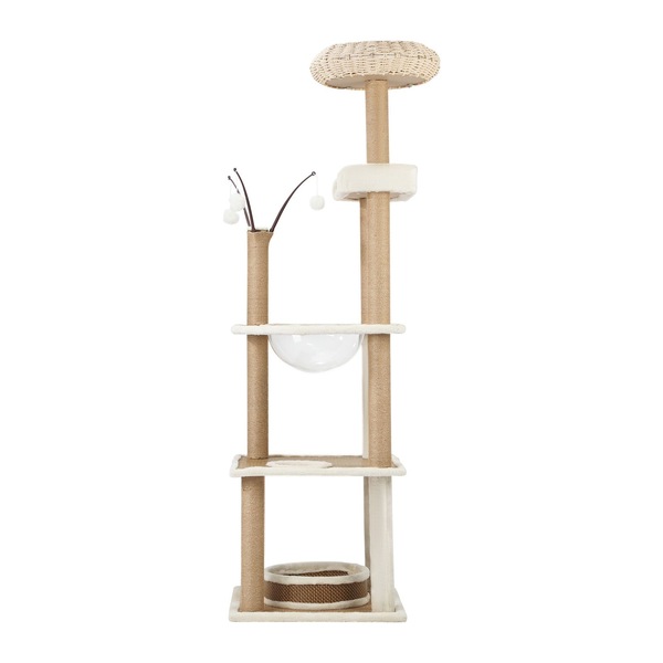 Image 7