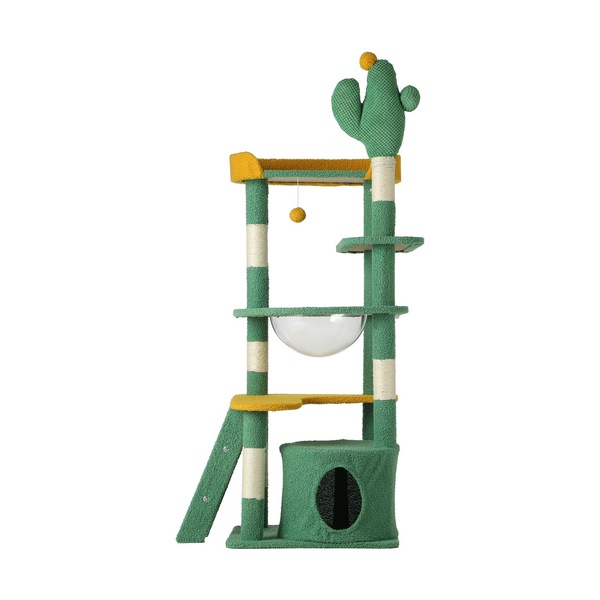 Image 7