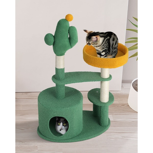 Image 21