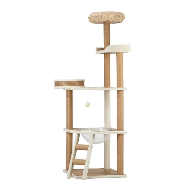 Image 7